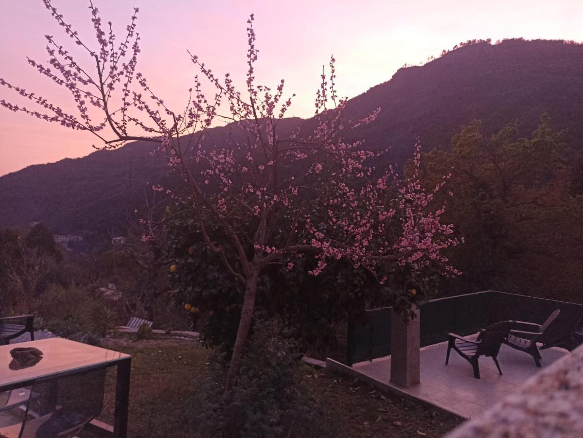 Apartamento Casinhas Da Lu Gerês Exterior foto